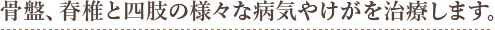 骨盤、脊椎と四肢の様々な病気やけがを治療します。