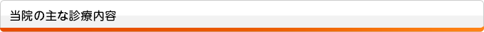 当院の主な診療内容